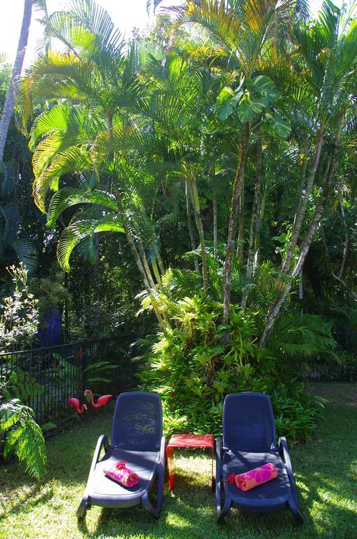 Pink Flamingo Resort Port Douglas Exteriér fotografie