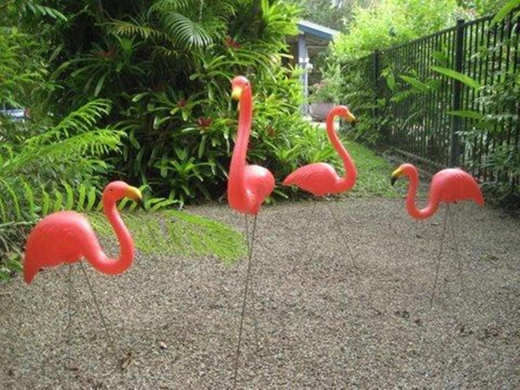 Pink Flamingo Resort Port Douglas Exteriér fotografie