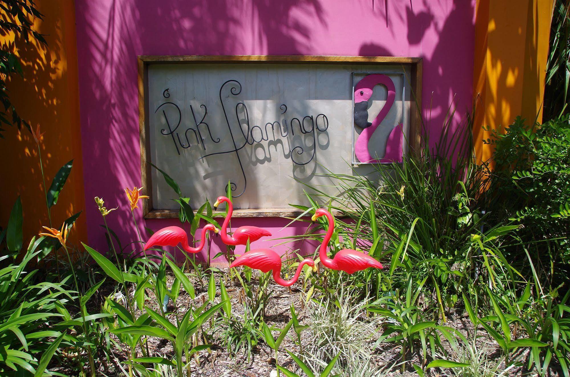 Pink Flamingo Resort Port Douglas Exteriér fotografie